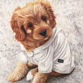 Custom Hand Painted Pet Portrait Oil Painting Home & Garden > Decor > Artwork > Posters, Prints, & Visual Artwork ArtToyourlife